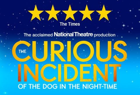 The Curious Incident of the Dog in the Night-Time